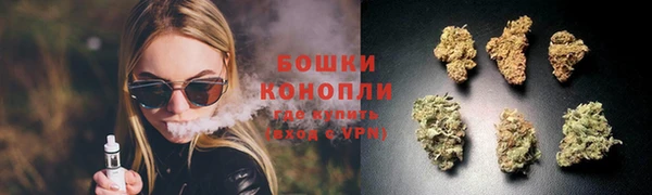 дмт Богородск