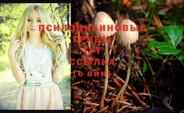 соль ск Бугульма