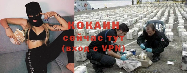 дмт Богородицк
